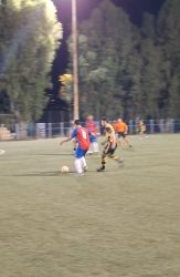 tubalibrenonamef1_result